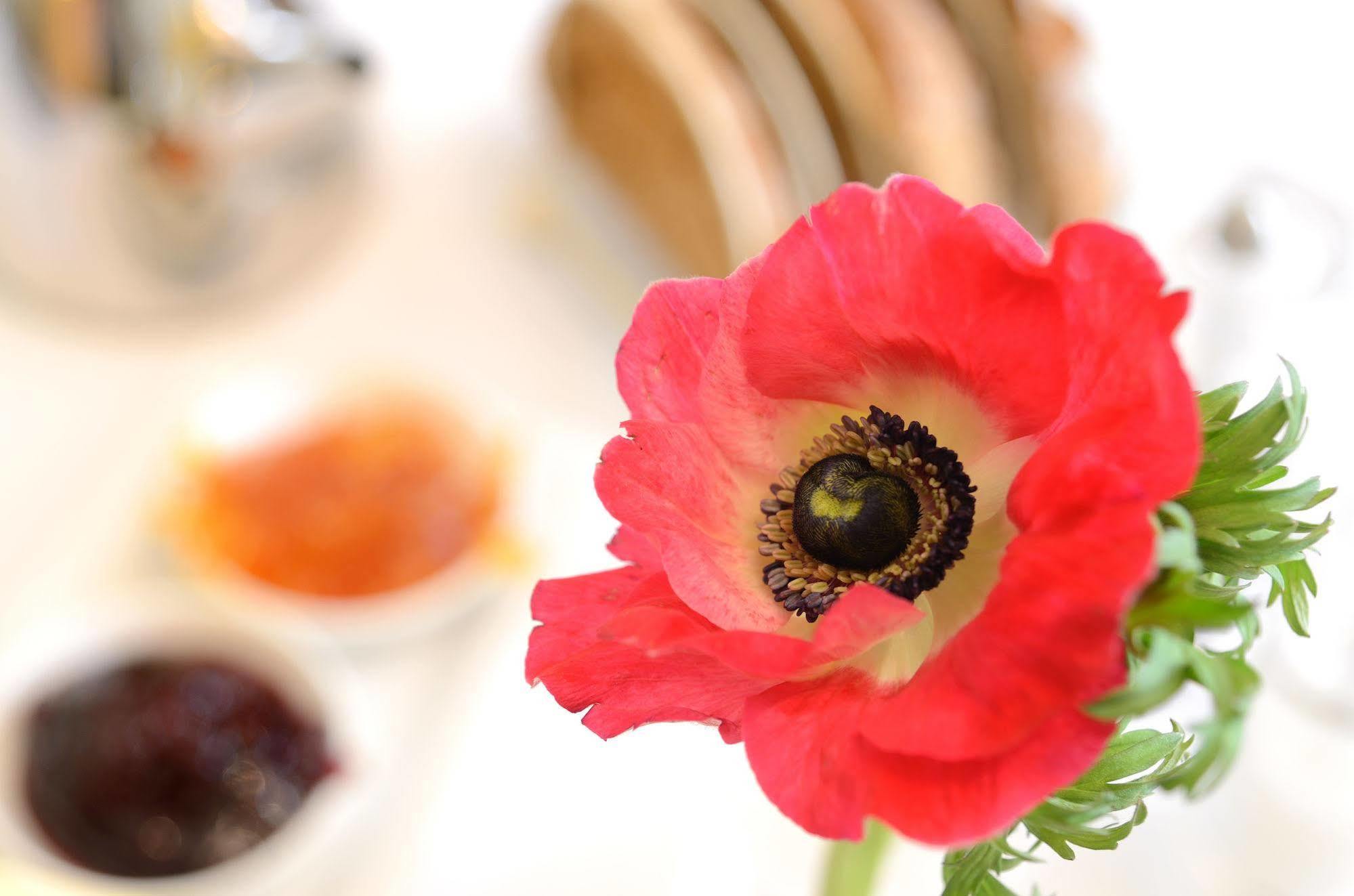 Crosby Bed & Breakfast เพนริท ภายนอก รูปภาพ